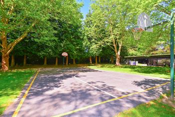 A basketball court surrounded by trees and a basketball hoop at Woodlake Apartments, Washington 98034